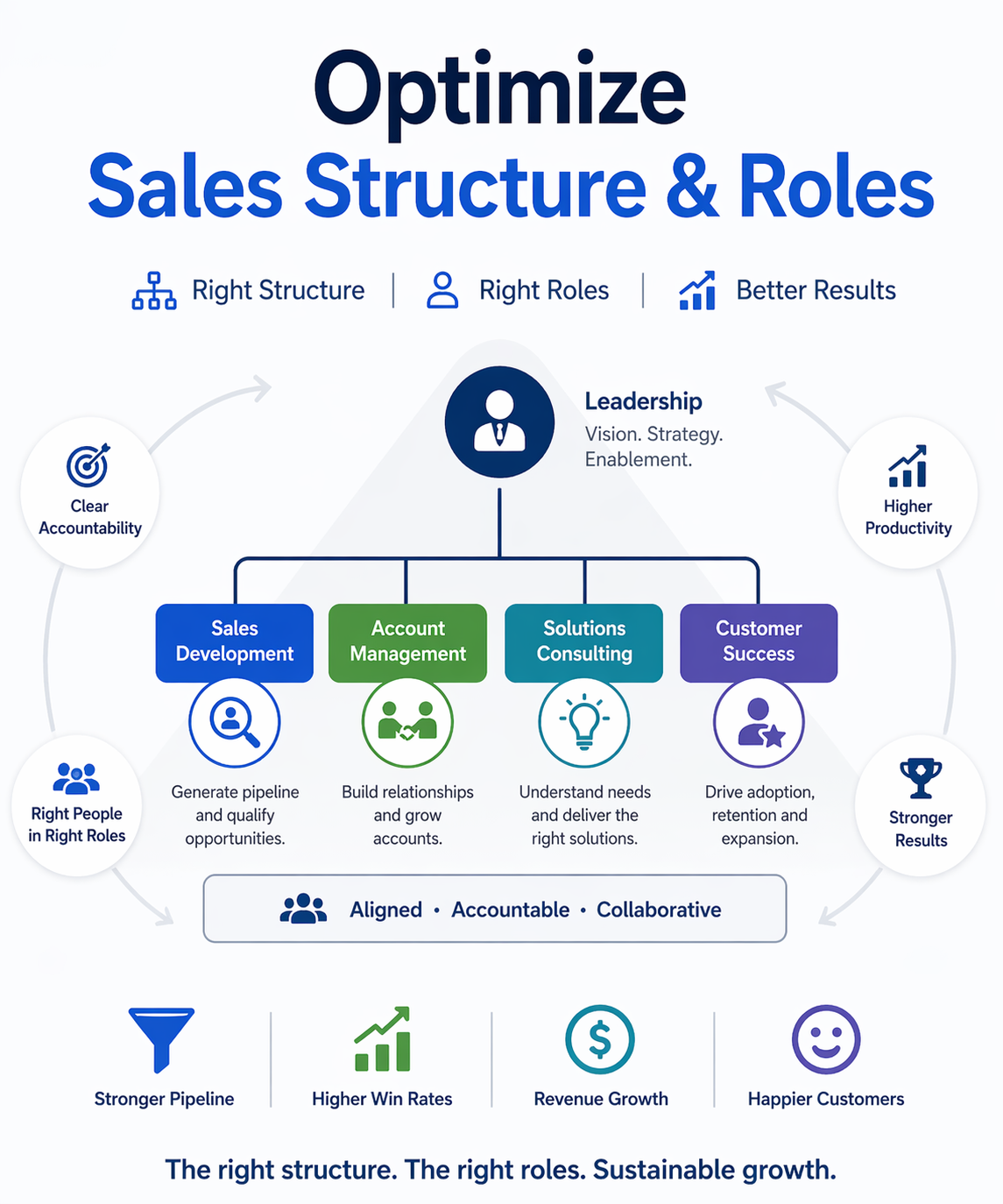 Optimize Sales Structure & Roles